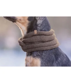 sugar dog Tour de cou en tricot pour chien Espi noix Clearance