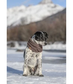 sugar dog Tour de cou en tricot pour chien Espi noix Clearance