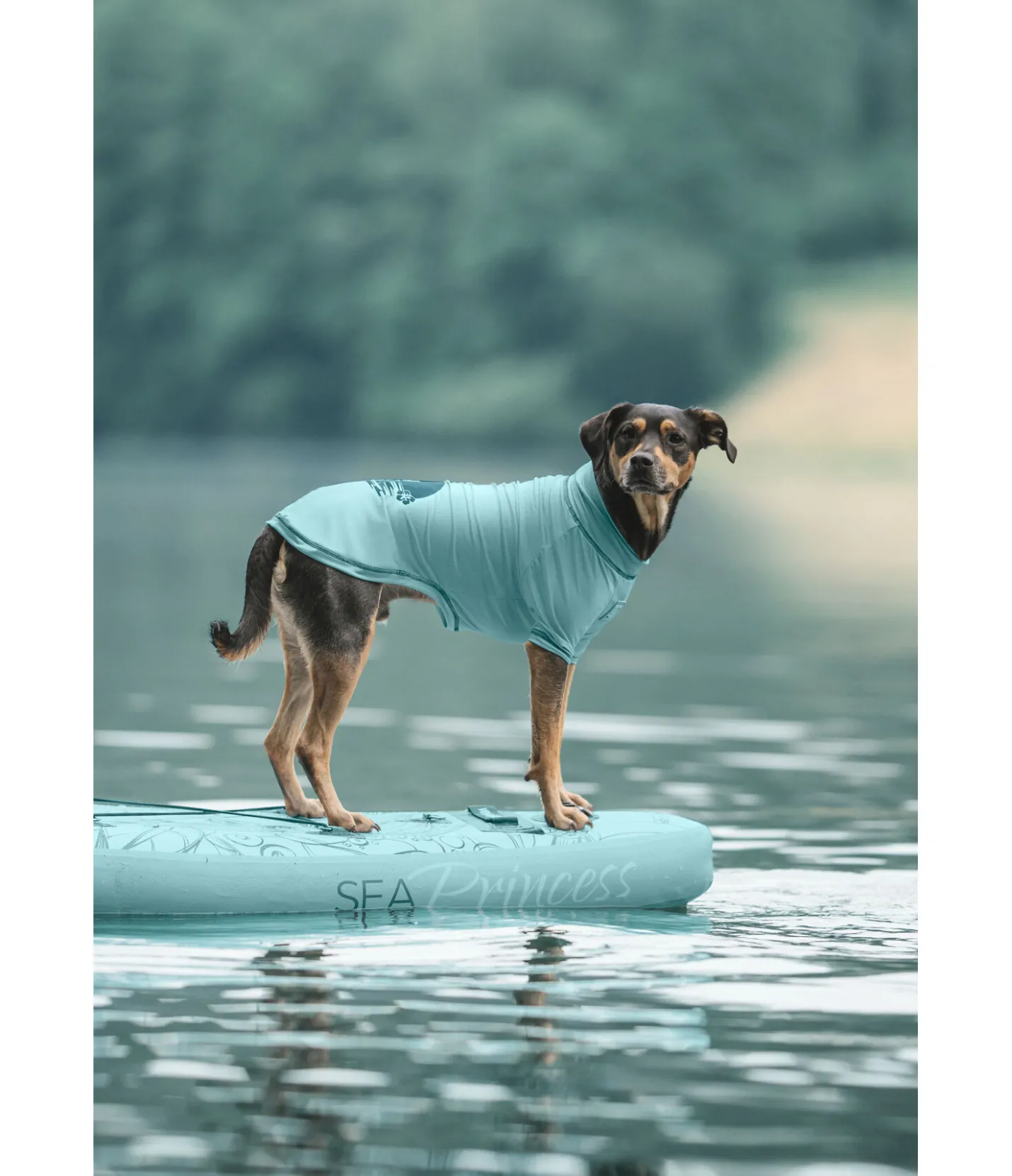 sugar dog T-shirt pour chien Sunny, UV 50+ bleu lagune Sale