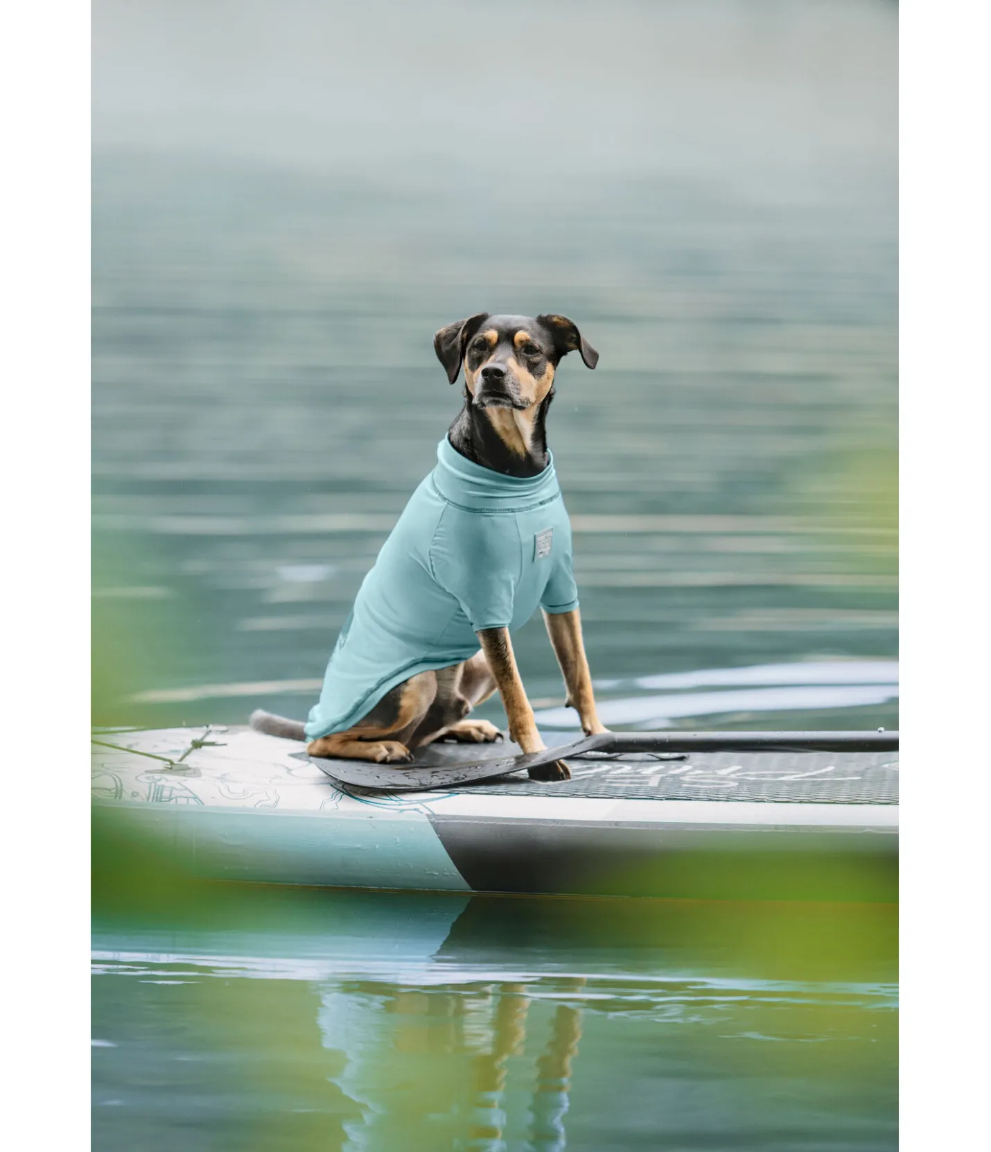 sugar dog T-shirt pour chien Sunny, UV 50+ bleu lagune Sale