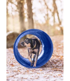 sugar dog Tunnel d'agility bleu Online
