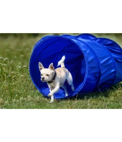 sugar dog Tunnel d'agility bleu Online