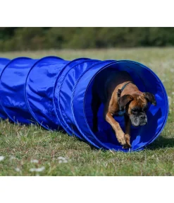 sugar dog Tunnel d'agility bleu Online