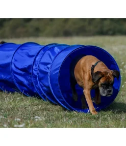 sugar dog Tunnel d'agility bleu Online