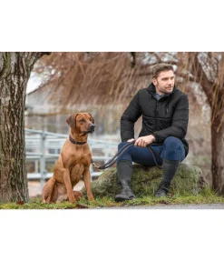 Felix Bühler Veste matelassée d'hiver homme Charlevoix noir Outlet
