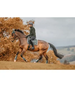 Felix Bühler Veste polaire homme Phoenix forêt Outlet